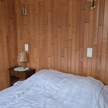 T2 De 31 M² à Cauterets, Proche Centre, Casier à Ski. - Fr-1-234-343 Appartement *