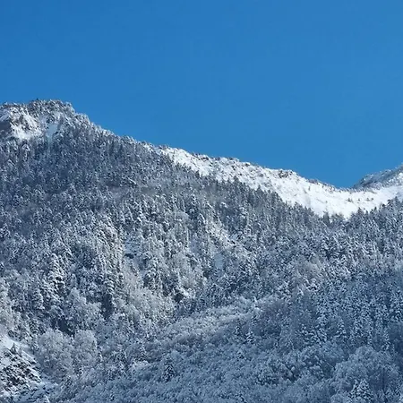 Appartement T2 De 31 M² à Cauterets, Proche Centre, Casier à Ski. - Fr-1-234-343