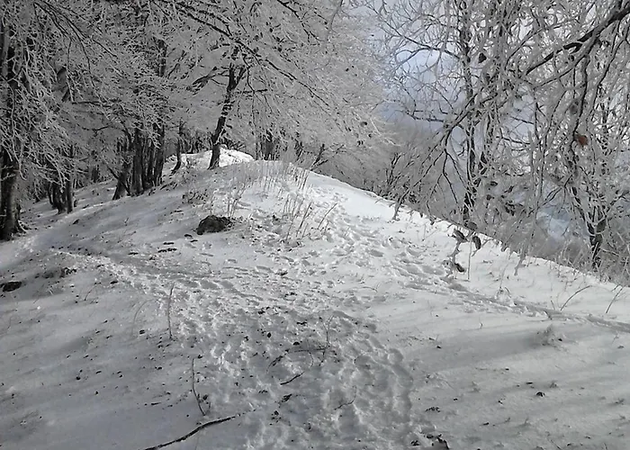 T2 A Avec Mezzanine Et Casier A - Fr-1-234-343 Apartment Cauterets